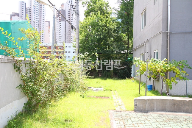 서울 서초구 서초동 ★ 주차 15대이상 단독 주택 사무실 ★ 월세 매물번호 12001 사진 3