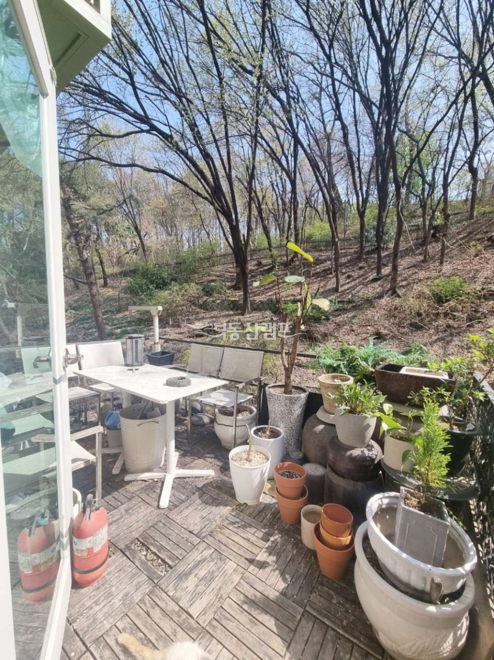 서울 강남구 도곡동 숲뷰 보장 매물! 보면 반하는 전면 숲 사무실 임대 월세 매물번호 14967 사진 6
