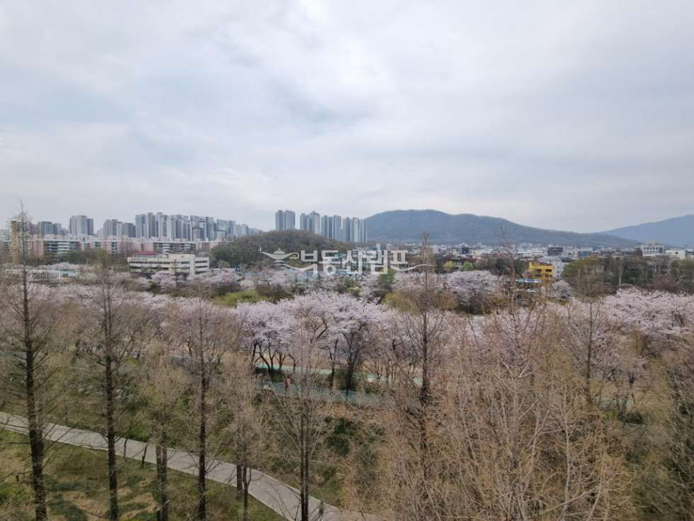 서울 강남구 도곡동 파티룸 추천! 뷰좋은 감각적인 사무실 소개합니다. 월세 매물번호 14971 사진 10