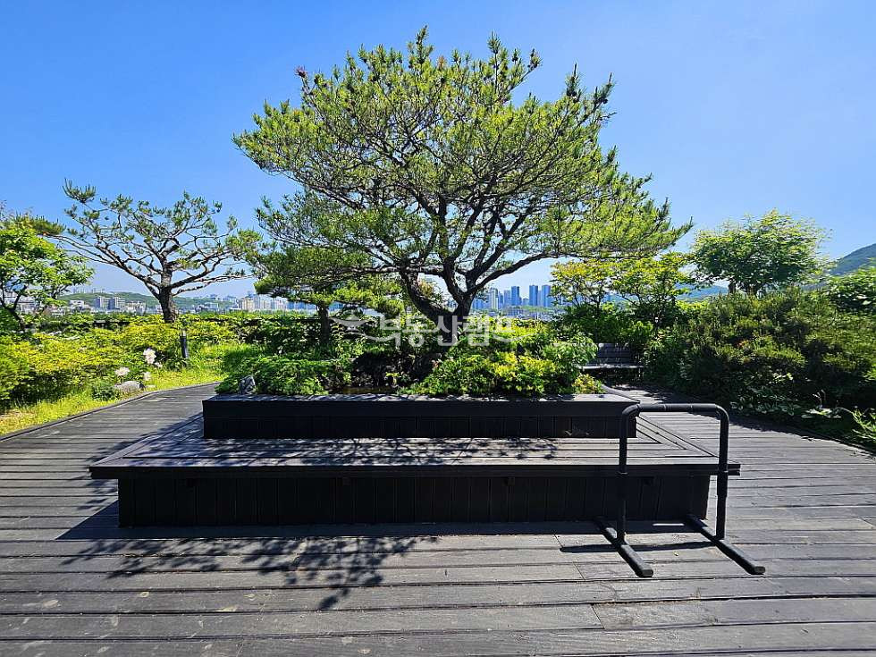 서울 서초구 양재동 양재천공원뷰 인테리어 가성비 사무실 월세 매물번호 15252 사진 7